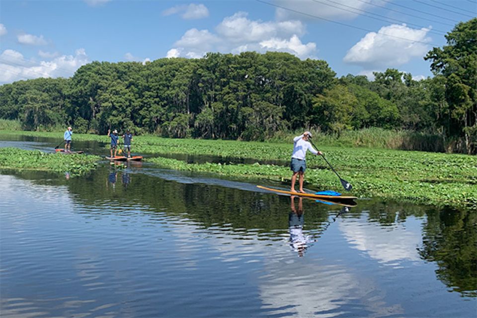 Sanford: Guided SUP or Kayak Manatee-Watching Tour