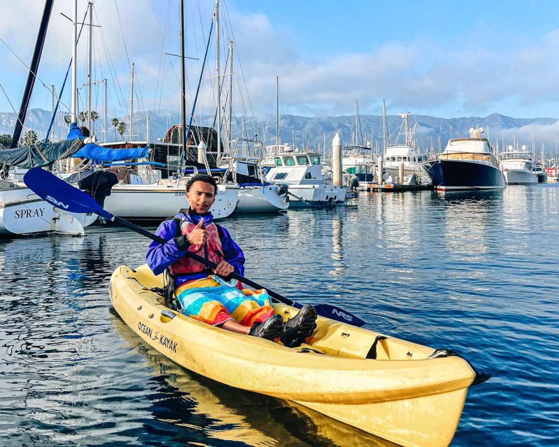 Santa Barbara: Guided Kayak Wildlife Tour