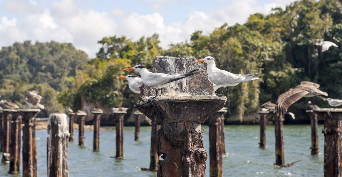 Santo Domingo: Private Day Trip to Los Haitises