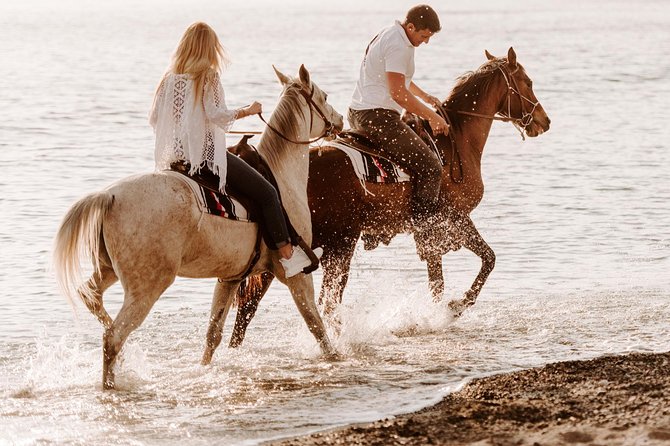 Santorini: Horse Riding to the Black Sandy Beach (Eros Beach) - Overview of the Horse Riding Safari