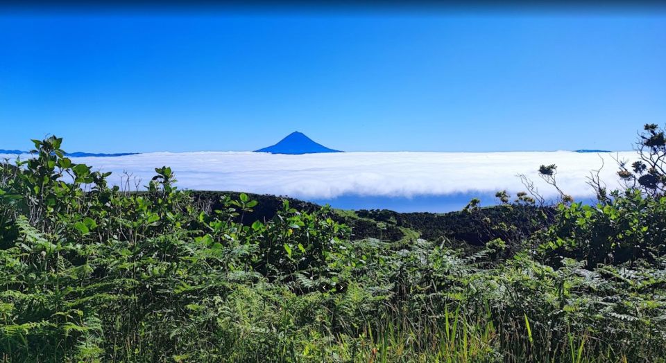 São Jorge: Island Round Trip Up to 4 Hours.