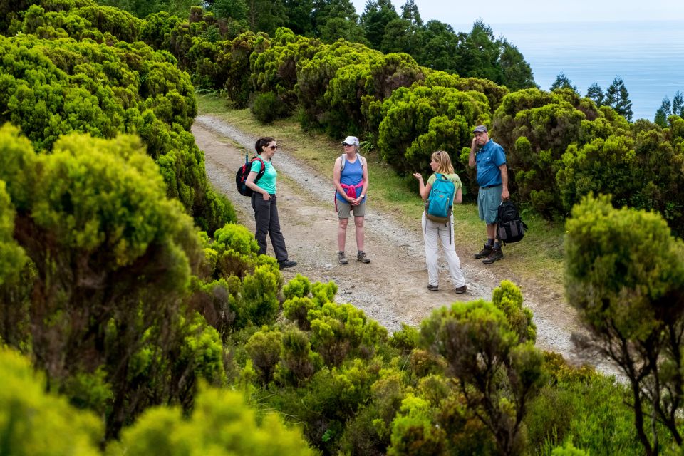 São Miguel: Full-Day Hike to Lagoa Do Fogo