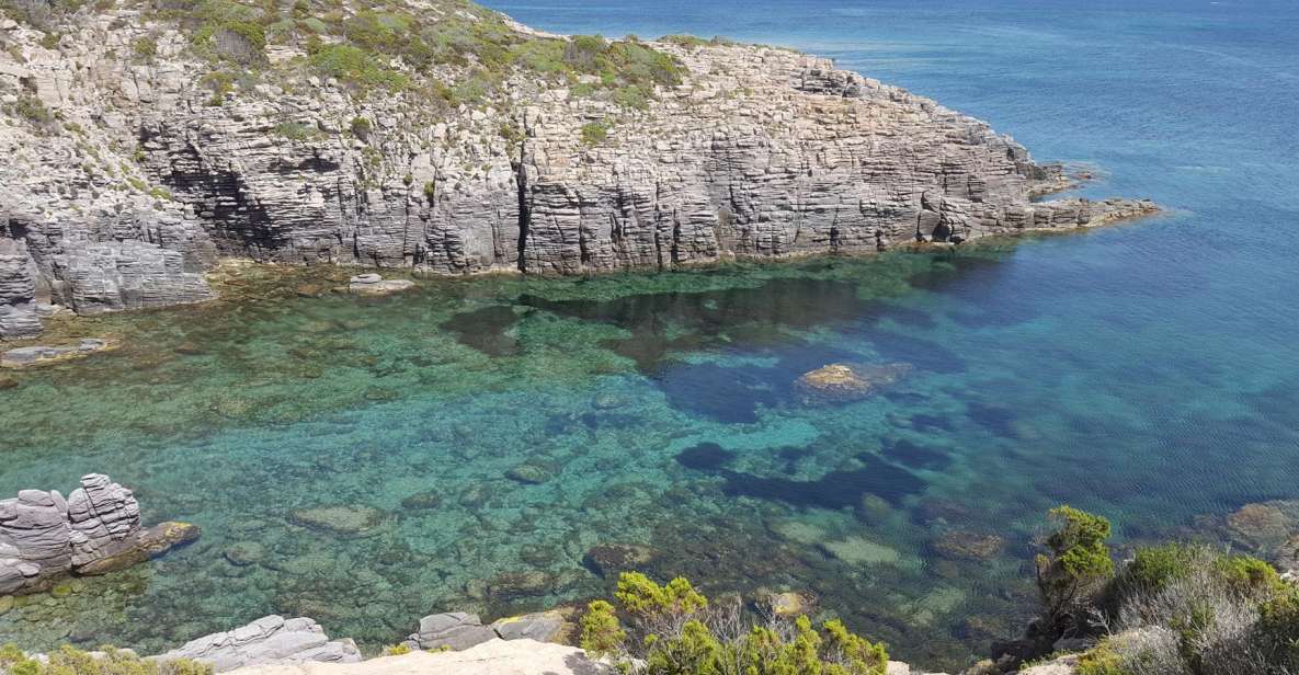 Sardinia: San Pietro Island and Carloforte Tour