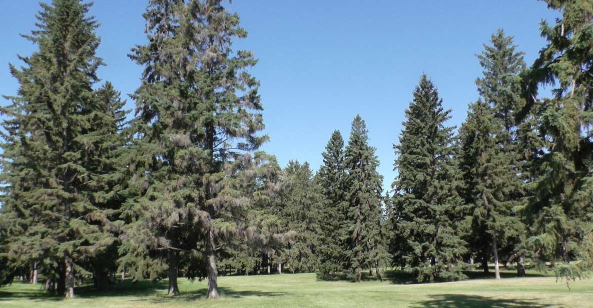 Saskatoon: Birdwatching Tour in President Murray Park