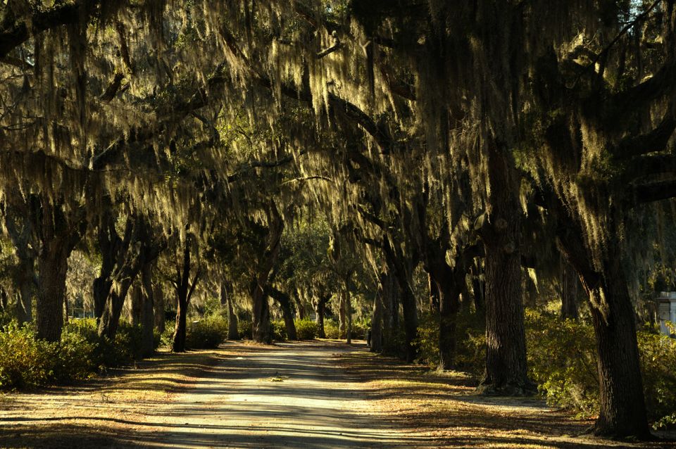 Savannah: Bonaventure Cemetery After-Hours Tour