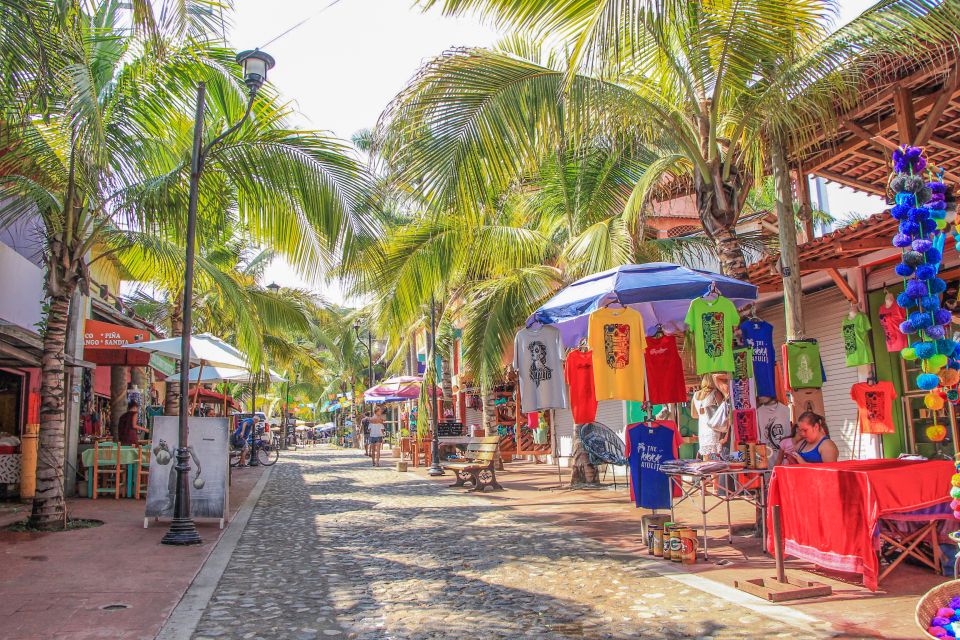 Sayulita and San Pancho Day Trip