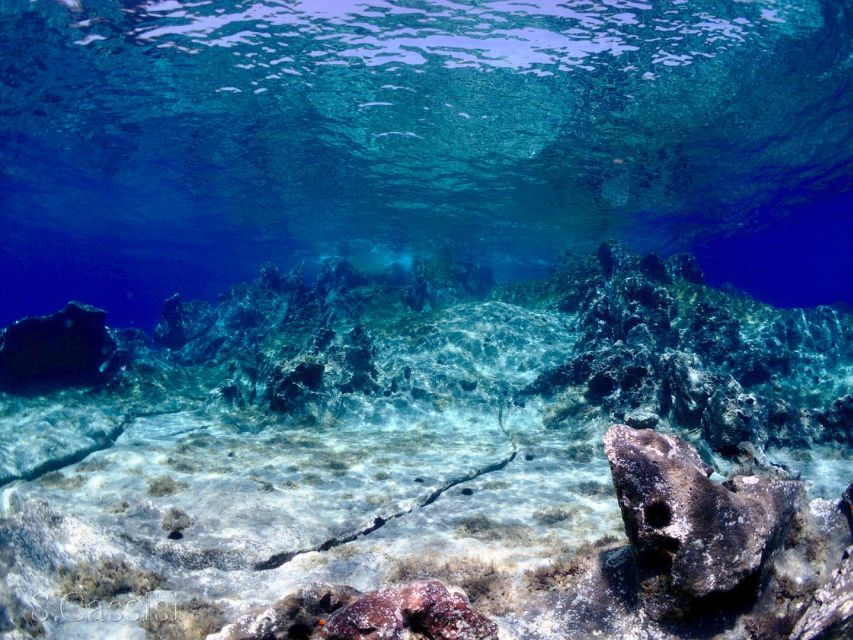 Scuba Diving to the Aeolian Islands From Milazzo