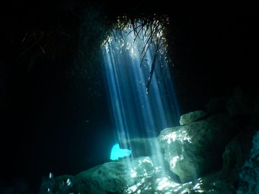 Scuba in 2 Cenotes in a Half-Day