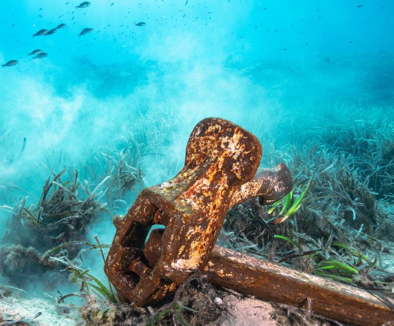 Sea-nic, Sip N’ Snorkel on a Semi-Submersive Seacraft