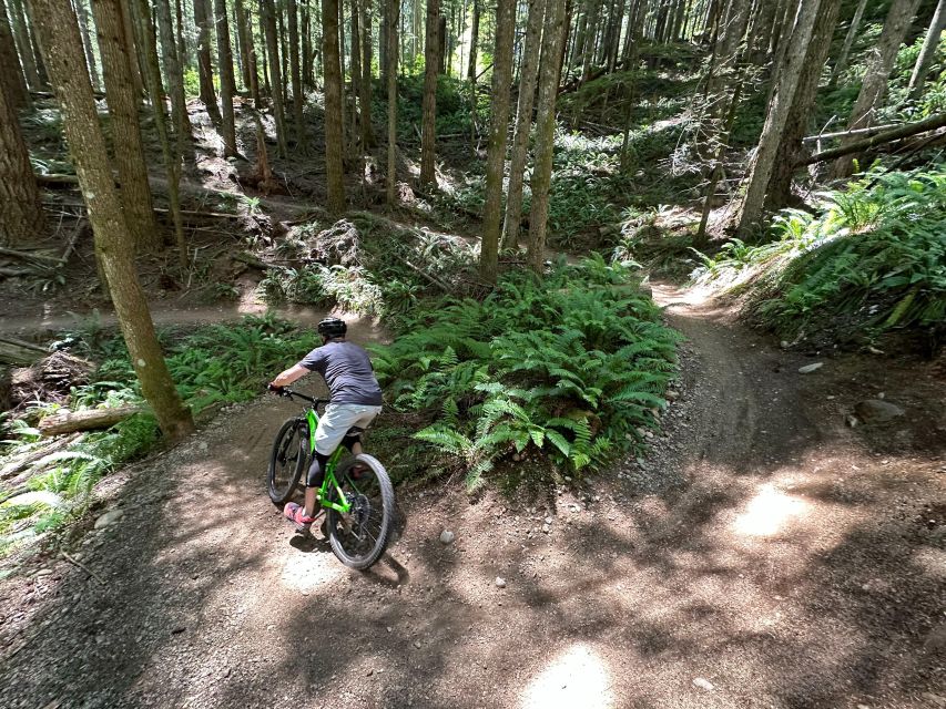 Seattle: Half Day All-Inclusive Mountain Bike Tour