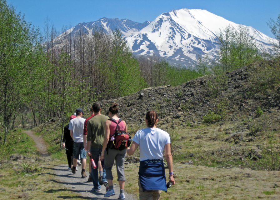 Seattle: Mt. St. Helens National Monument Small Group Tour - Tour Overview