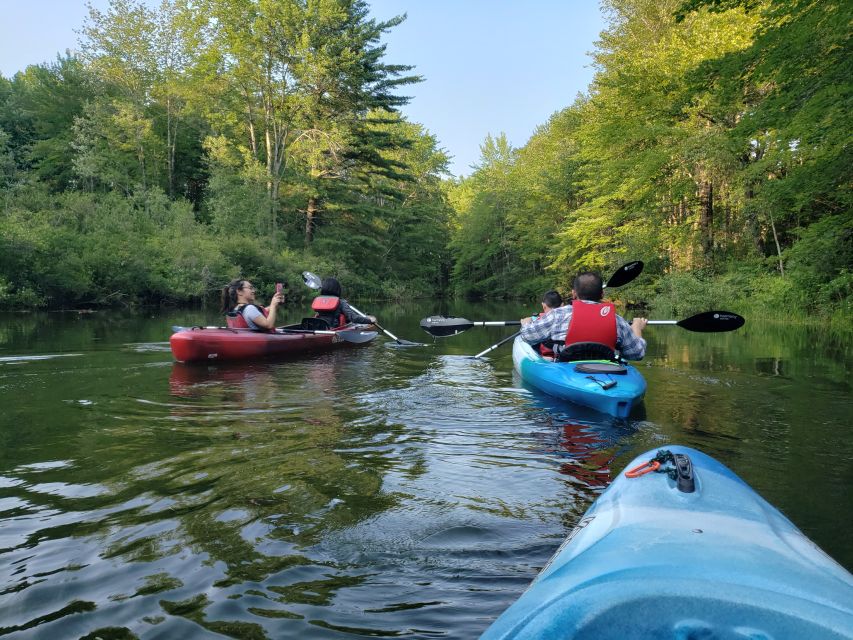 Sebago Lake: Half-Day Kayak Rental