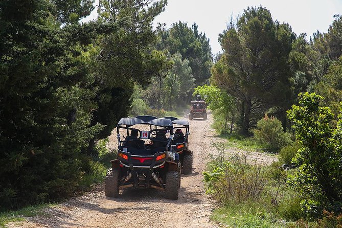 Self-drive Off Road Buggy