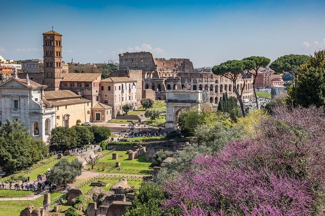 Semi-Private Ultimate Colosseum Tour, Roman Forum & Palatine Hill