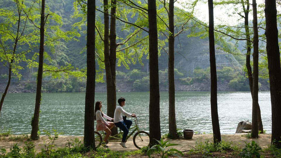 Seoul To/From Nami Island: Round-Trip Shuttle Service - Transportation Details