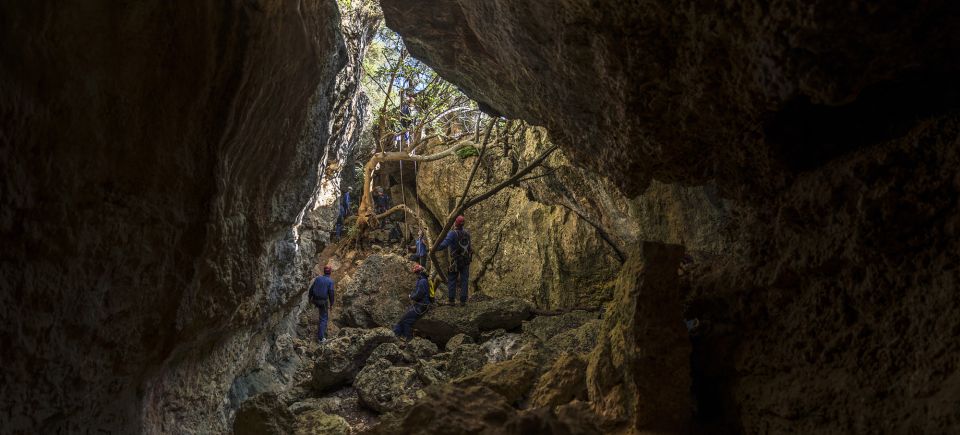 Setúbal: Arrábida Natural Park Adventure Circuit