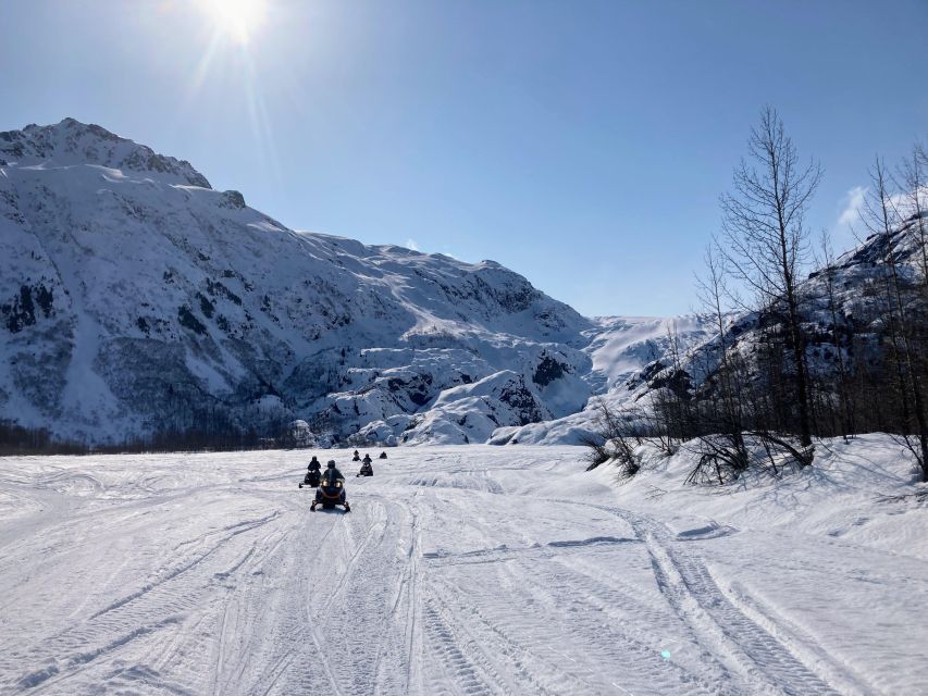 Seward: Kenai Fjords National Park Guided Snowmobiling Tour