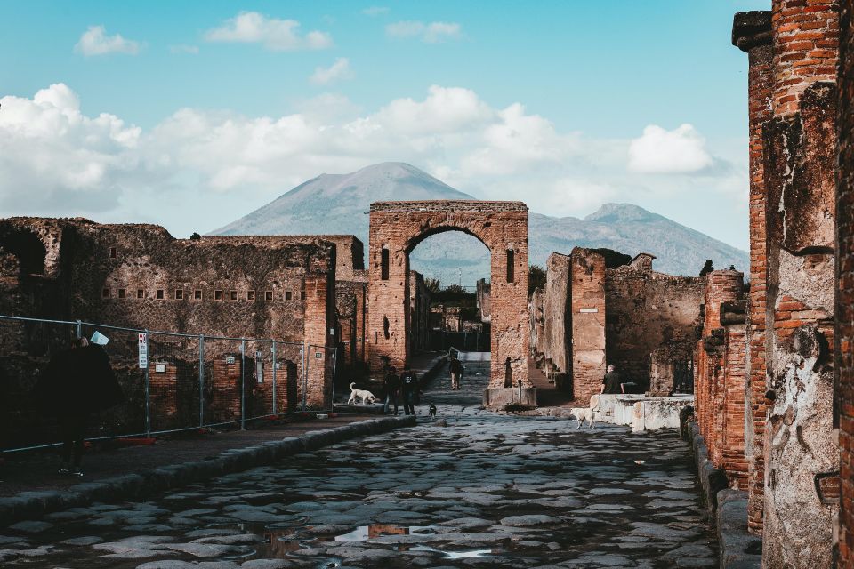 Shore Excursion: Pompeii&Wine Tasting W/Transfer From Port