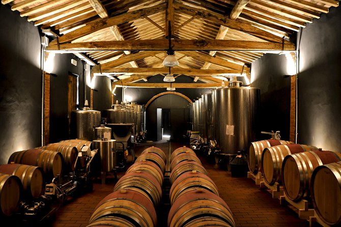 Siena: A Wine Tour and Tasting Experience - Overview of the Wine Tour