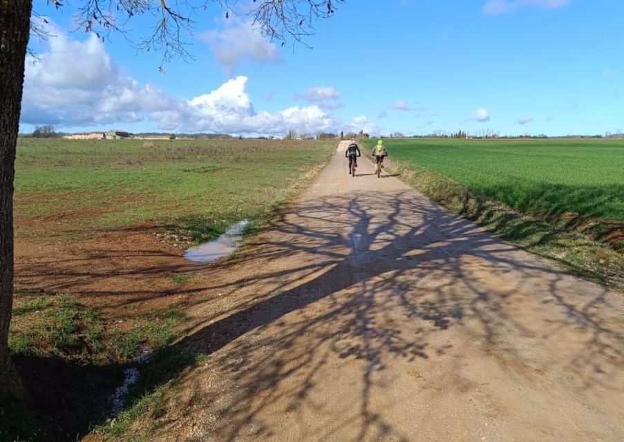 Siena: E-Bike Tour on the via Francigena With Brunch