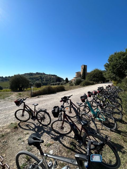 Siena: Guided Bike Tour of Val D'orcia