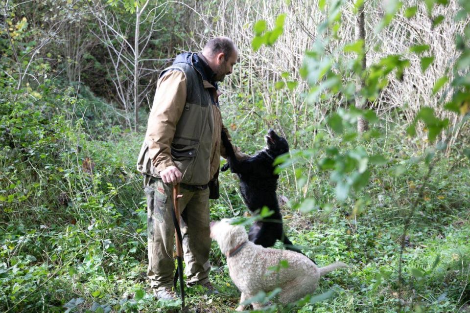 Siena – Truffle Hunting in the Evocative Sienese Woods
