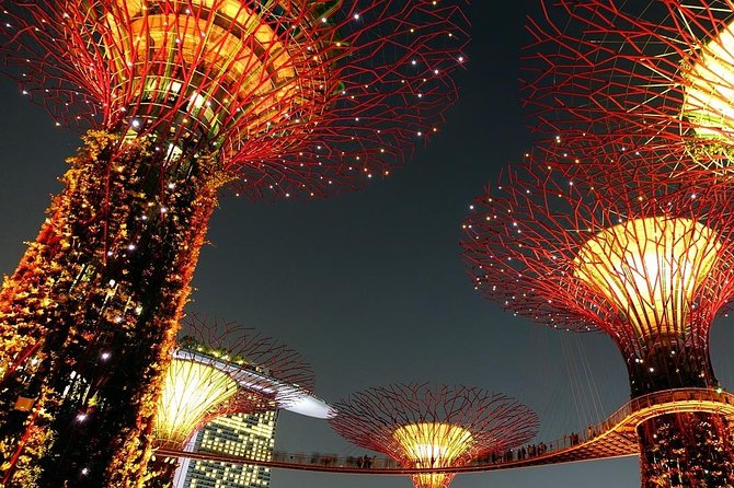 Singapore: Gardens by the Bay Admission E-Ticket