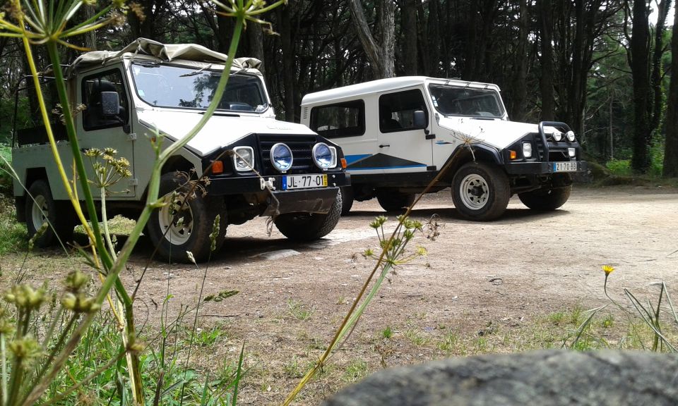 Sintra 4WD Tour