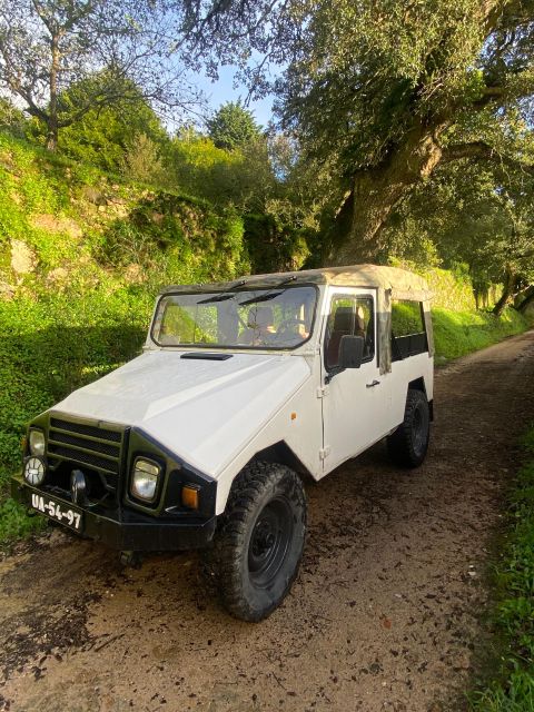 Sintra Born&Raised Tours Driven by Locals