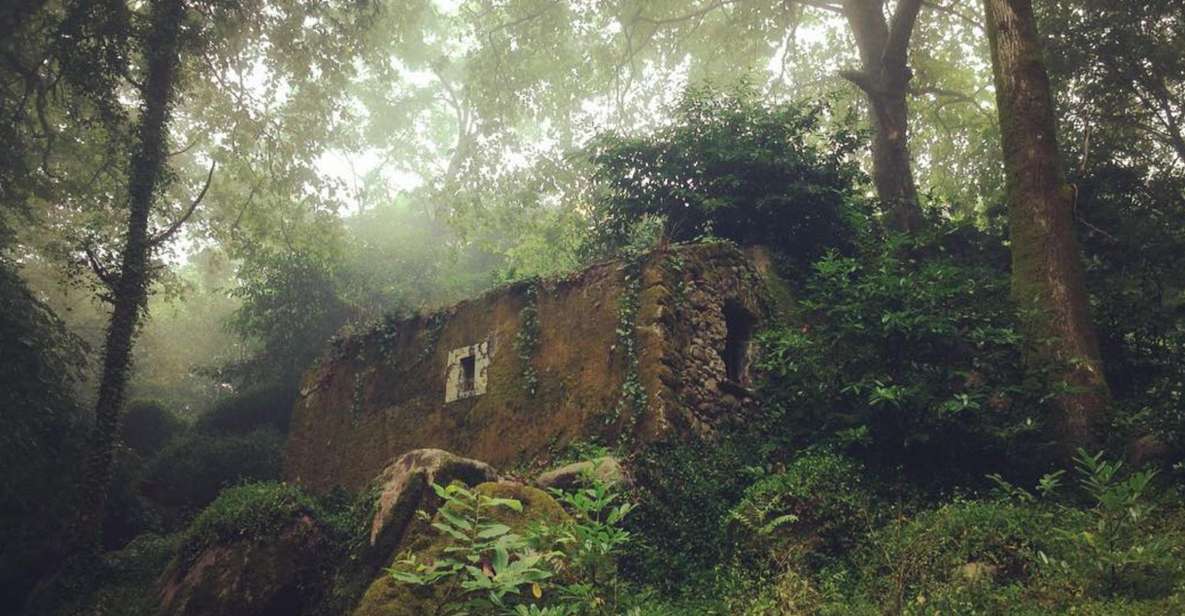 Sintra Guided Visit: Life and Death at the Capuchos Convent