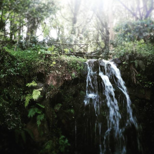 Sintra: Kingdom of Love Private Walking Tour With Historian