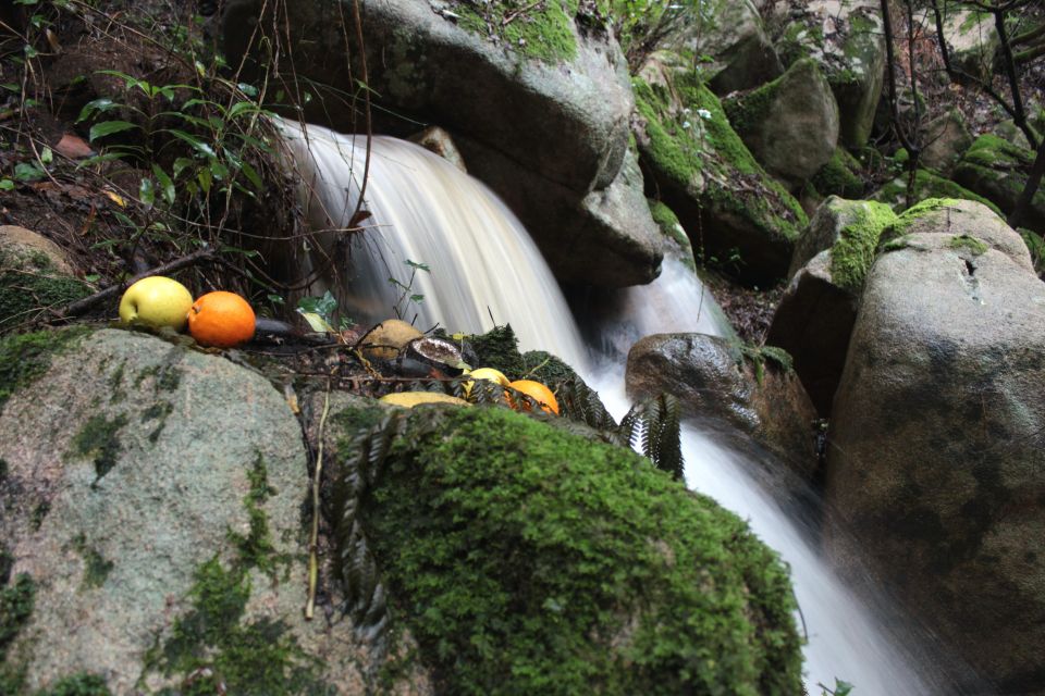 Sintra: Sintra Vintage 4×4