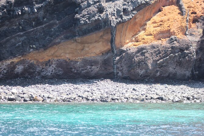 Small Group Excursion Whales and Dolphin Watching Los Gigantes - Exploring Los Gigantes