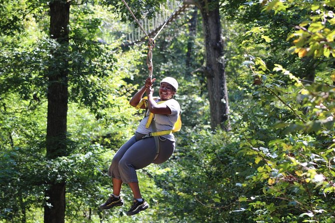 Small-Group Zipline Tour in Hot Springs