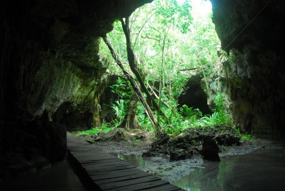 Snorkel + Cenotes Day With Transportation