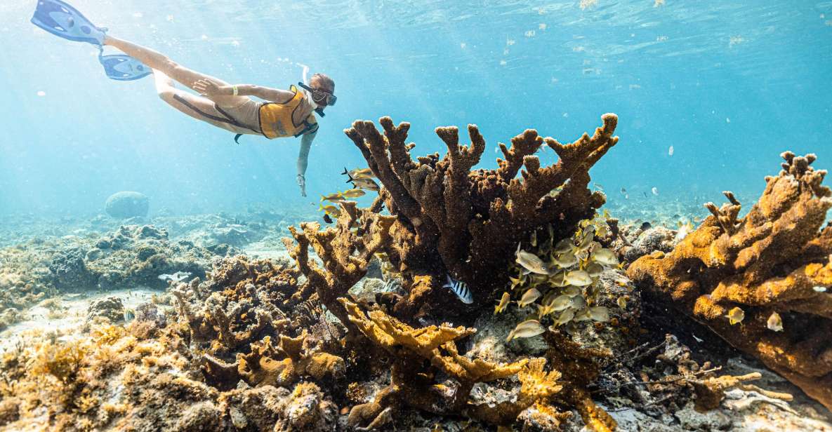 Snorkel Paradise Cancun and Underwater Museum in Nizuc