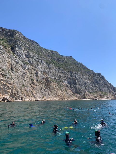 Snorkeling in Sesimbra - Vibrant Marine Exploration