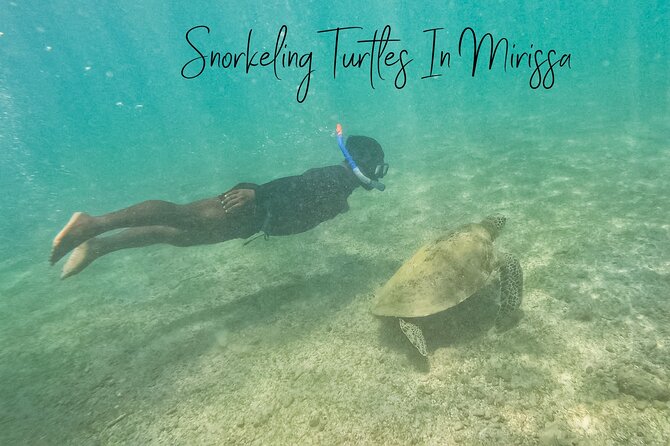 Snorkeling Turtles in Mirissa