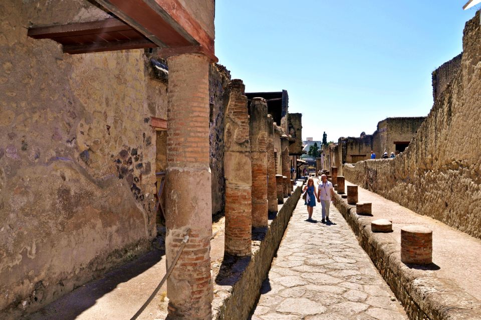 Sorrento: Transfer to Naples With Herculaneum Guided Tour - Tour Overview