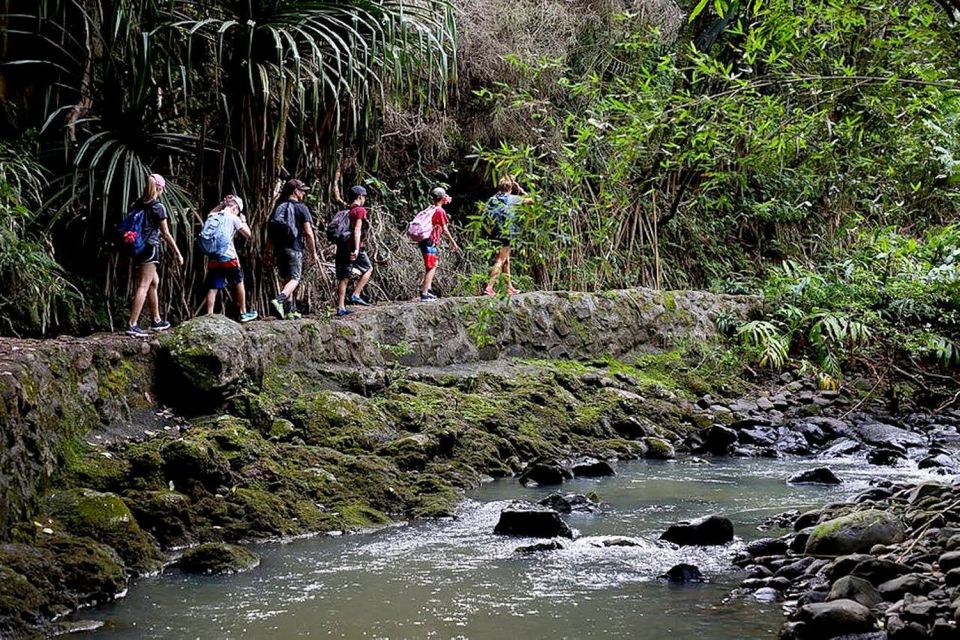 South Maui: Waterfall Tour W/ Kayak, Snorkel, and Hike