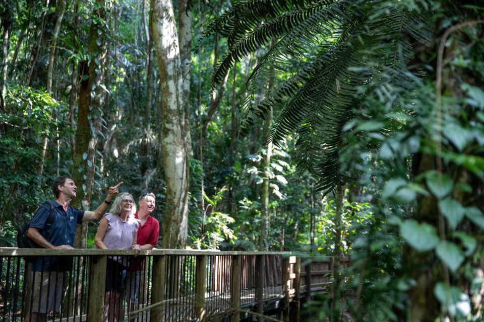 Southern Daintree Explorer Tour – Half Day