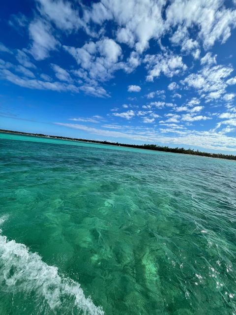 Speedboat Adventure: Exhilarating Experience in Punta Cana