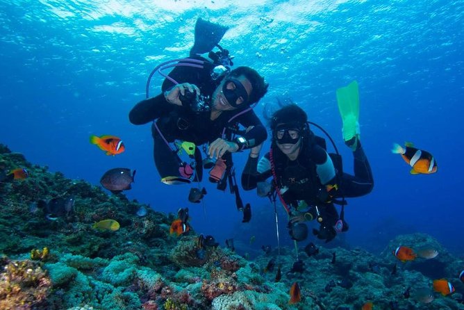 SSI | Padi Open Water Course in Phuket
