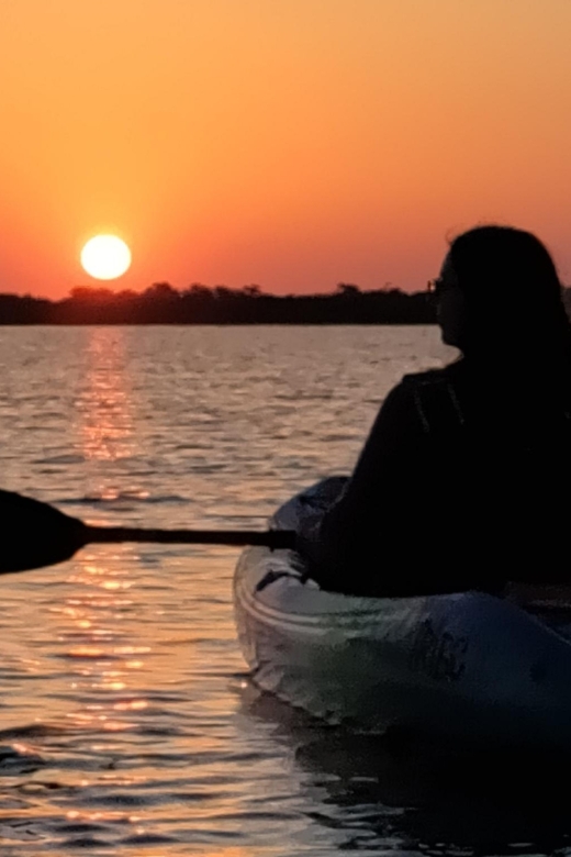 St. Augustine: Kayaking Sunrise Tour - Activity Details