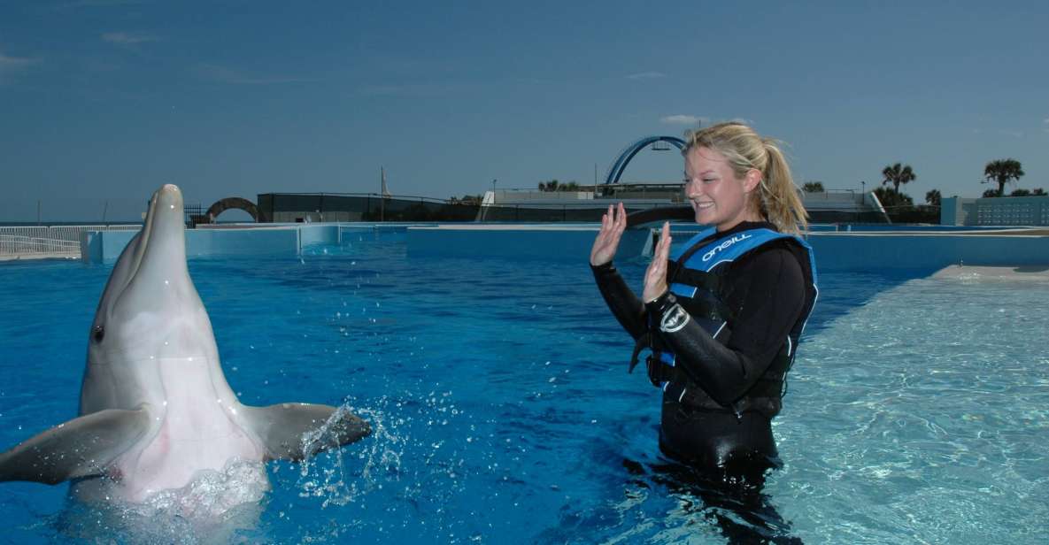 St. Augustine: Marineland Dolphin Encounter - Overview of Marineland Dolphin Encounter