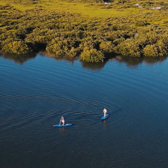 St. Augustine: Standup Pedal-boarding Dolphin Tour - Activity Details