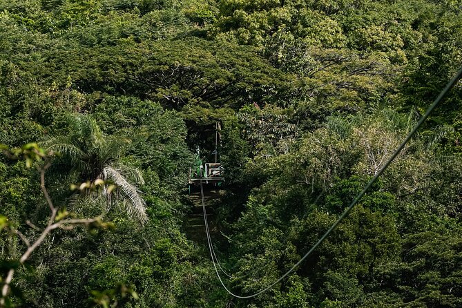 St. Kitts Zipline Experience