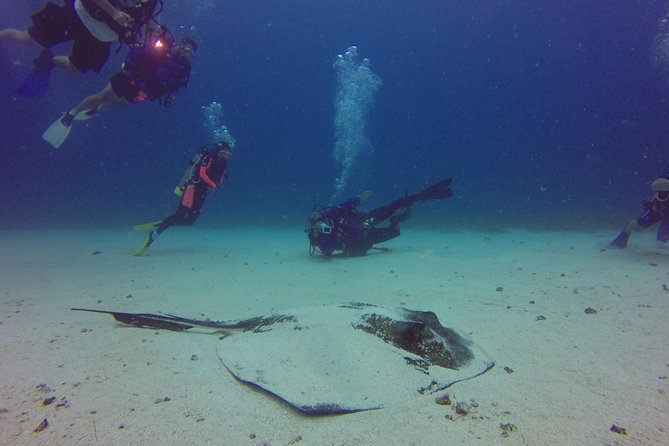 St Maarten Scuba Diving for Certified Divers