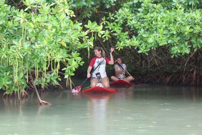 Stand up Paddle in Paradise - Meeting at Plage De Babin