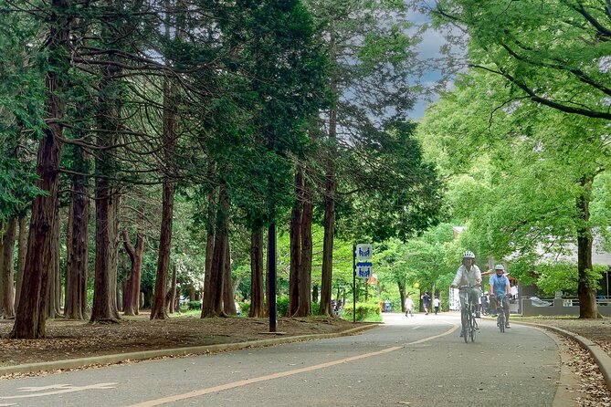 Starting / Ending at Your Hotel 3hr Private E-bike Tour in Tokyo